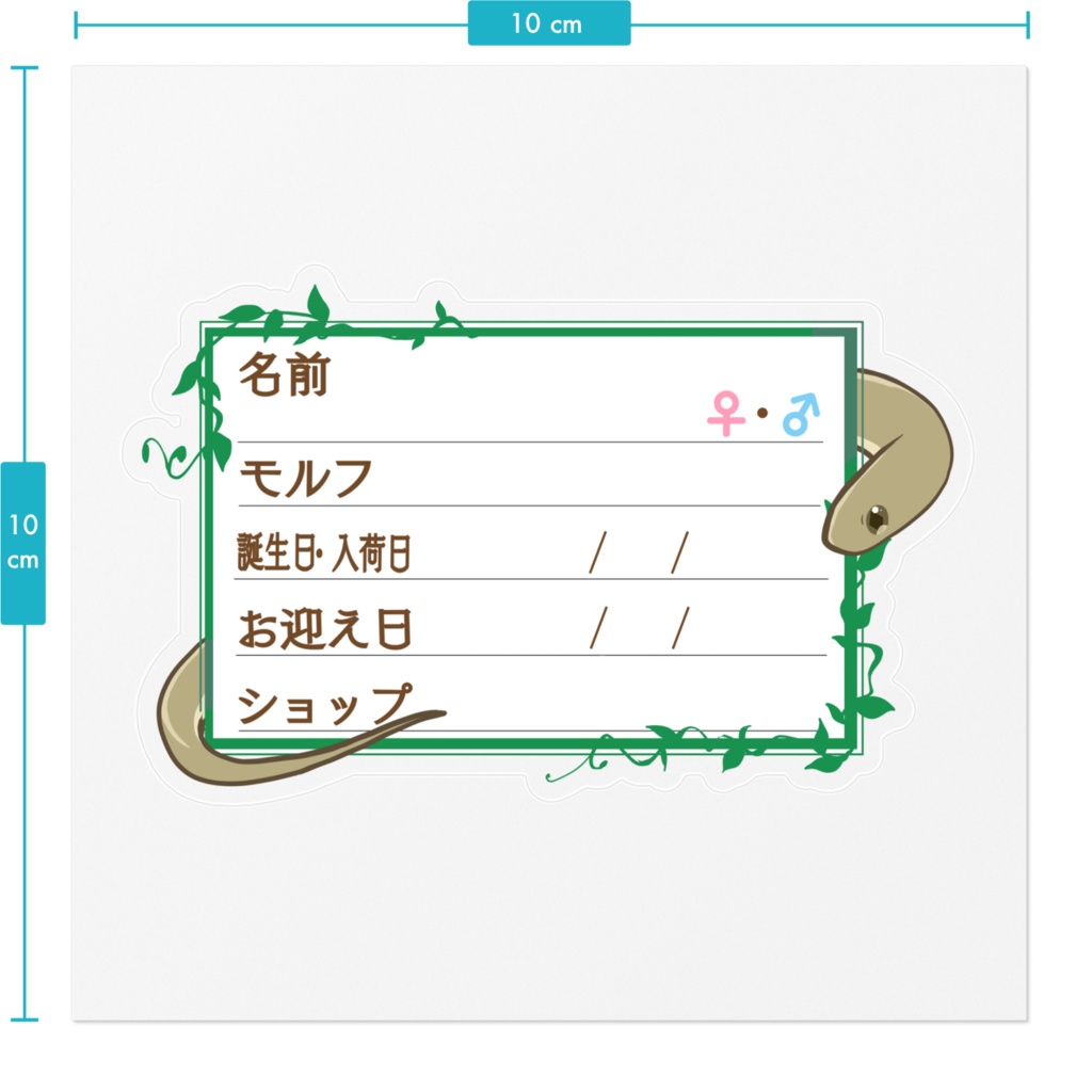 ãðãååã¹ããã«ãŒãæ 12çš®é¡ ã¬ã³ã¹ã¿ããŽãã