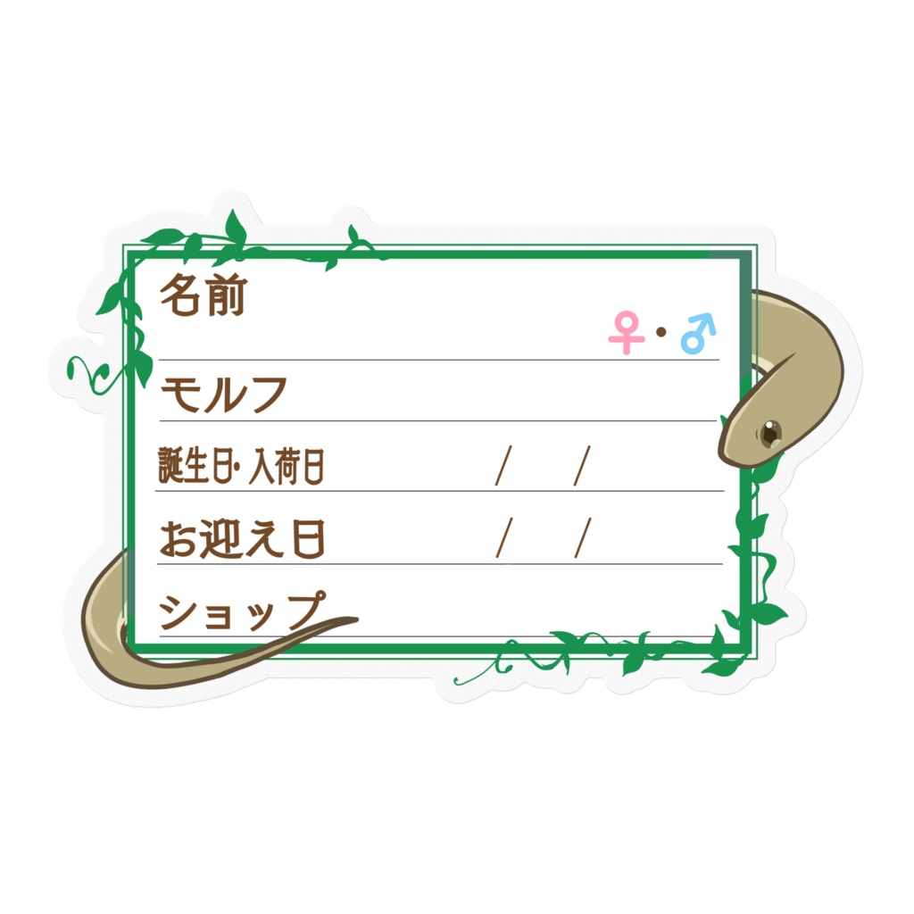 【🐍お名前ステッカー】枠12種類 ガンスタマゴヘビ