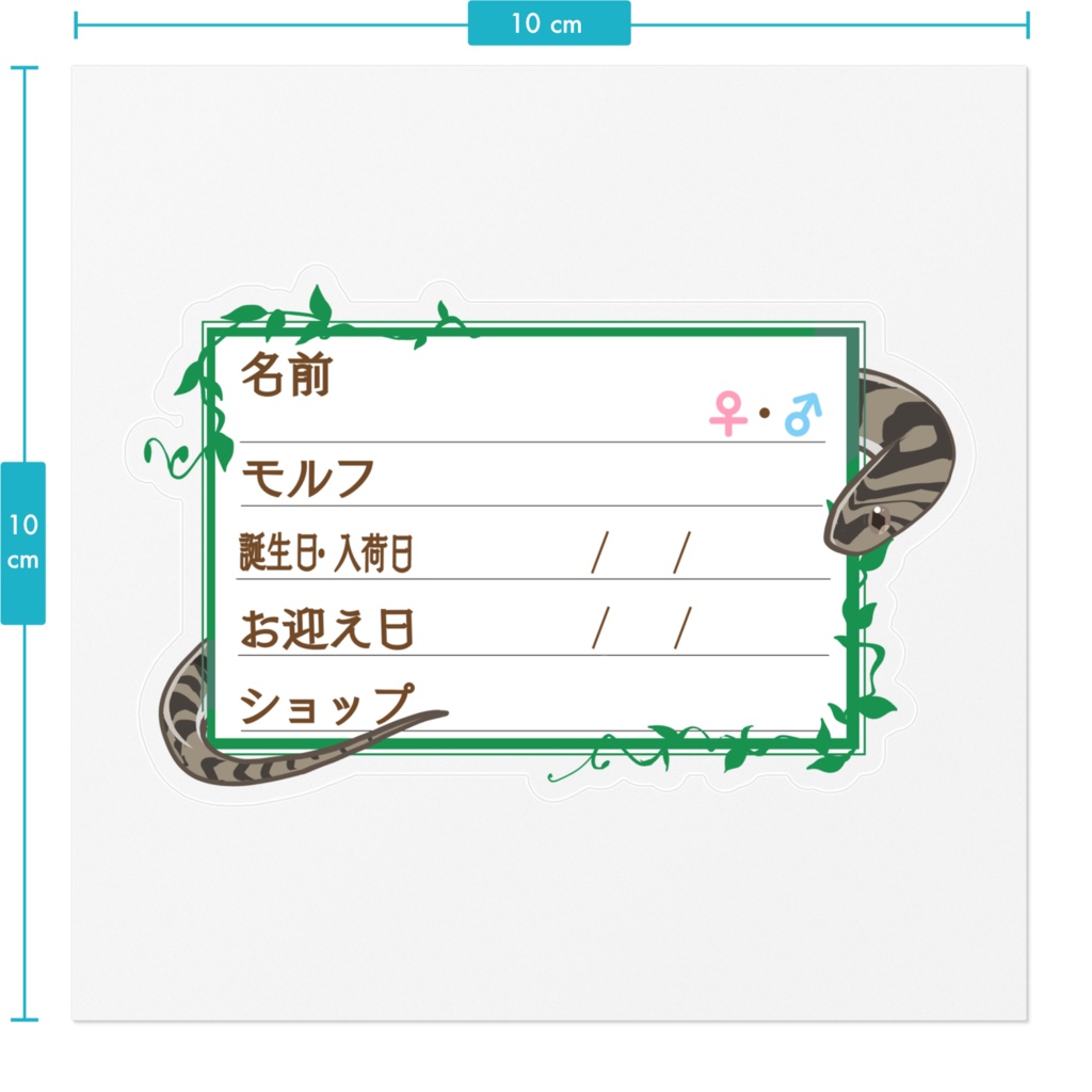 ãðãååã¹ããã«ãŒãæ 12çš®é¡ ã³ã¢ã³ã¿ããŽãã