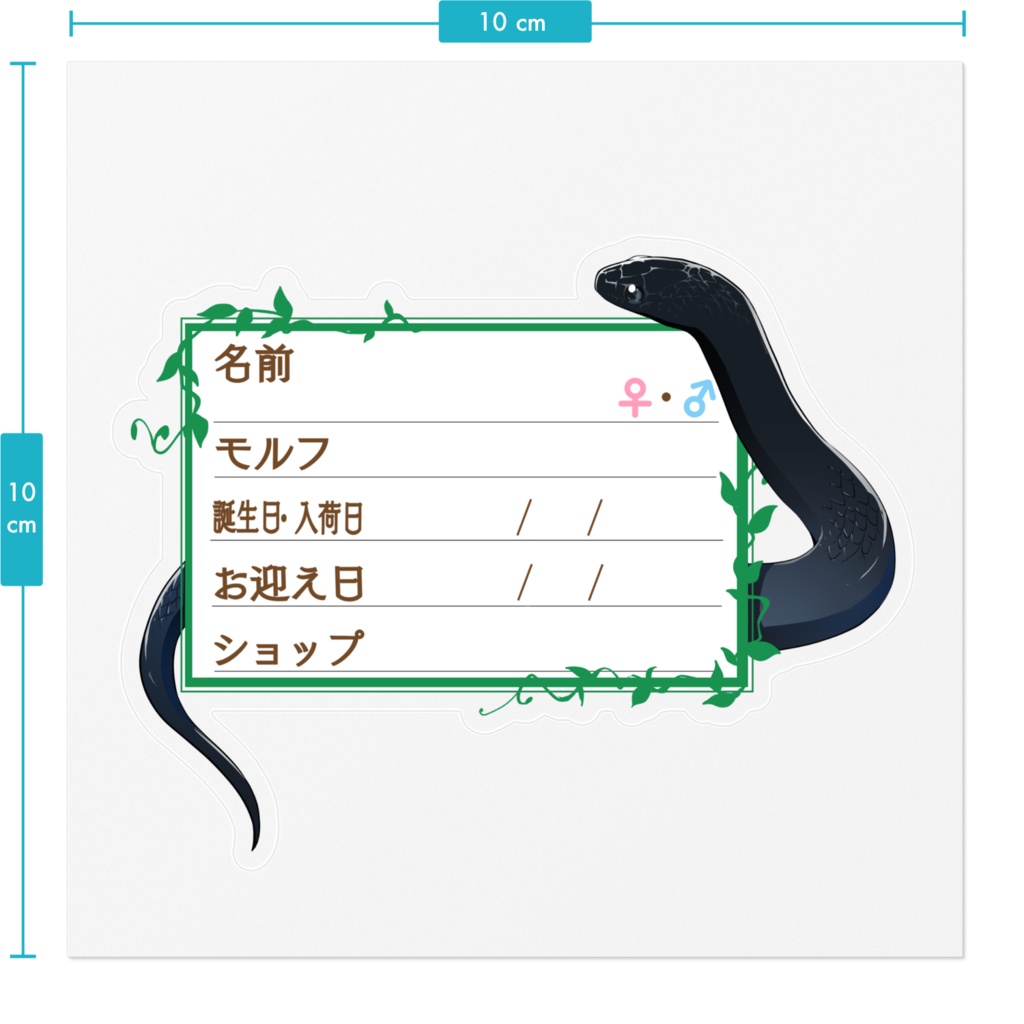 ใ๐ใๅๅในใใใซใผใๆ 11็จฎ้ก ใกใญใใฉ(ใใผใใซ)