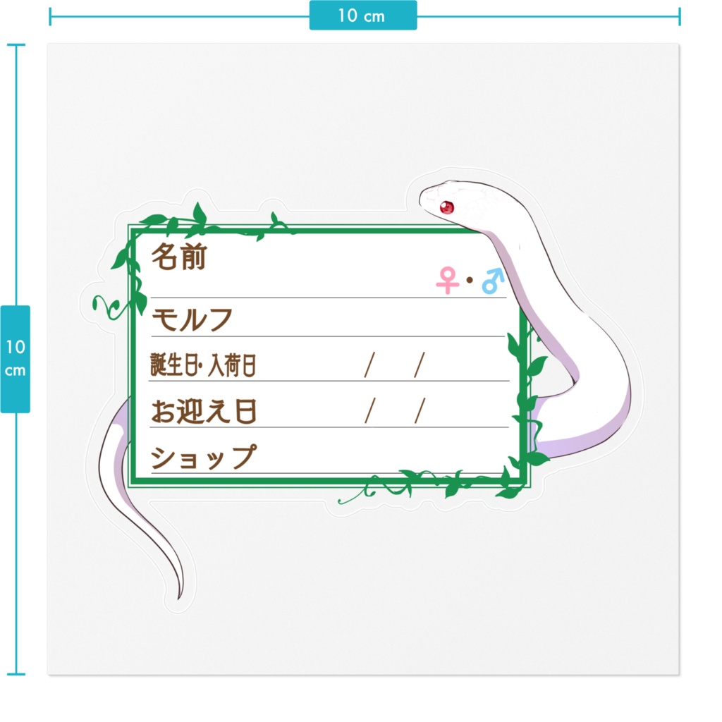 ใ๐ใๅๅในใใใซใผใๆ 11็จฎ้ก ใกใญใใฉ(ใขใซใใ)
