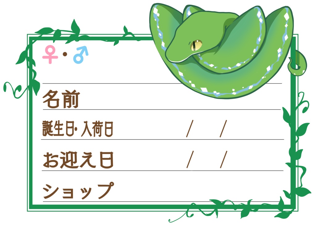ダウンロード版【お名前ステッカー🐍】枠11種類セット グリンパイ(ソロン)