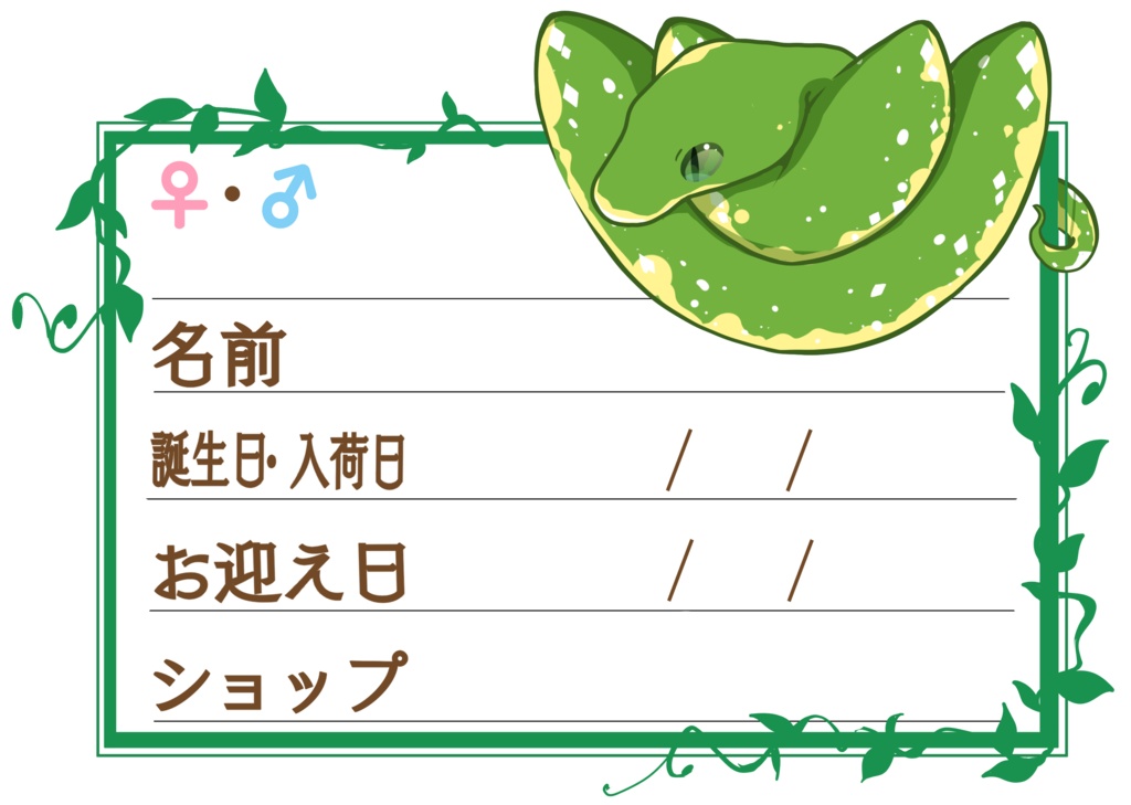 ダウンロード版【お名前ステッカー🐍】枠11種類セット グリンパイ(ビアク)