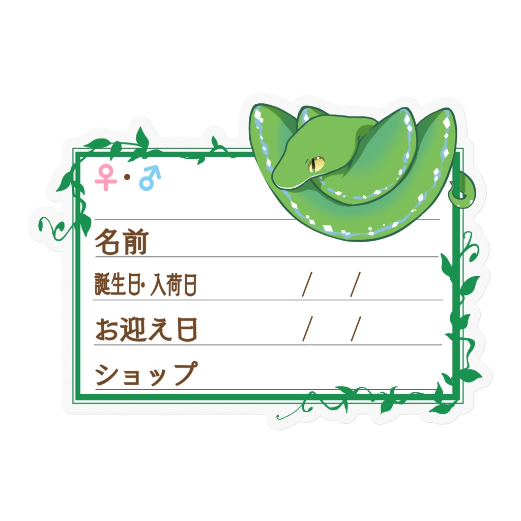 【🐍お名前ステッカー】枠11種類 グリンパイ(ソロン)