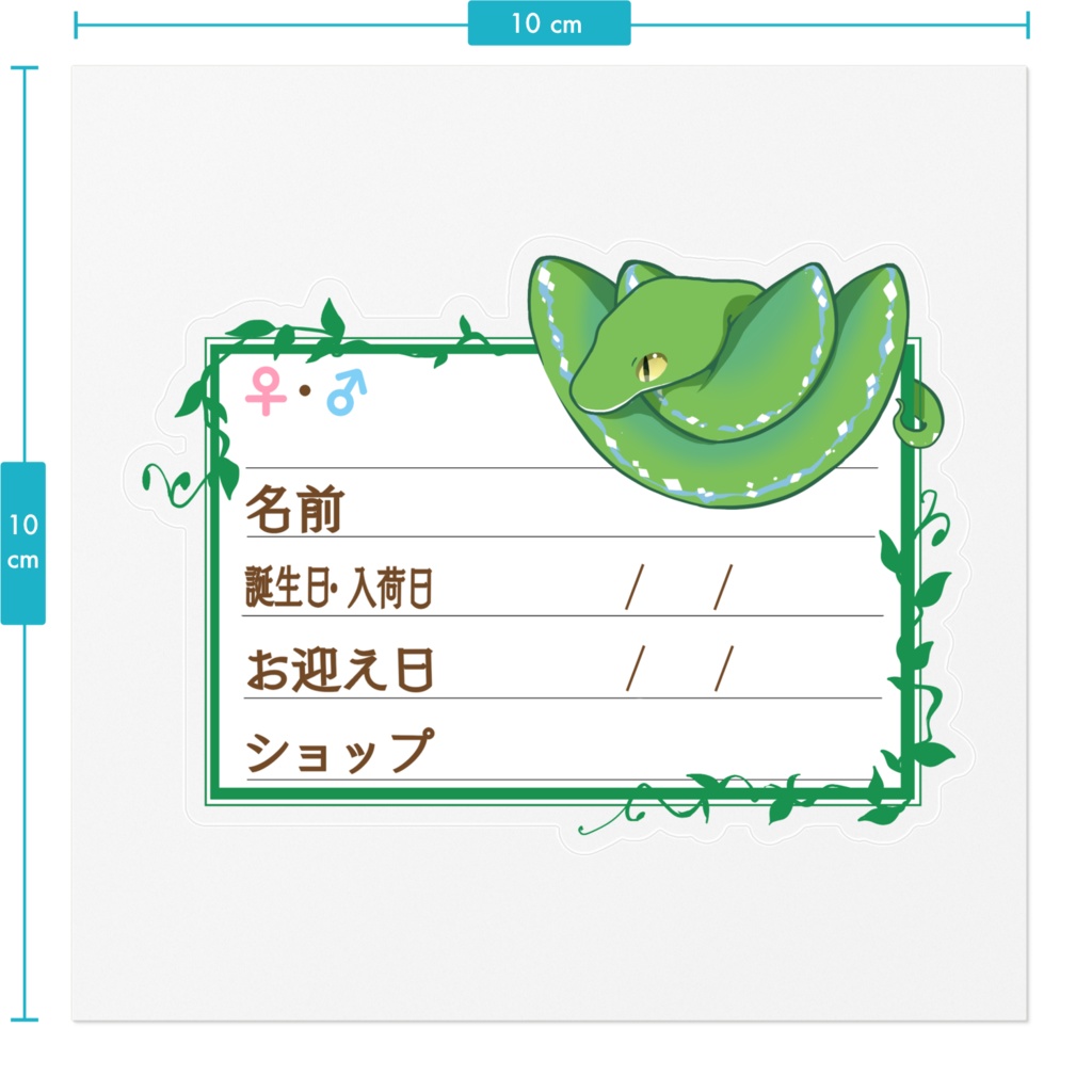 【🐍お名前ステッカー】枠11種類 グリンパイ(ソロン)