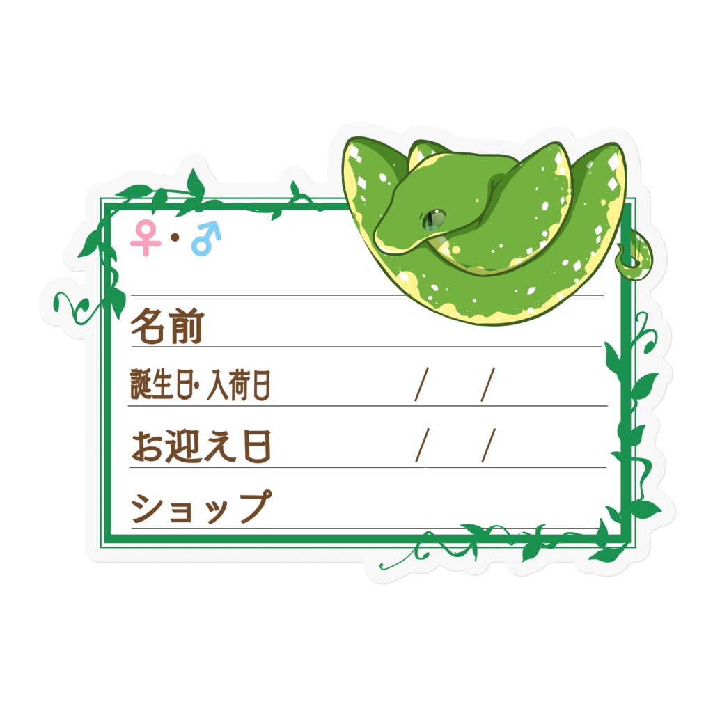 【🐍お名前ステッカー】枠11種類 グリンパイ(ビアク)