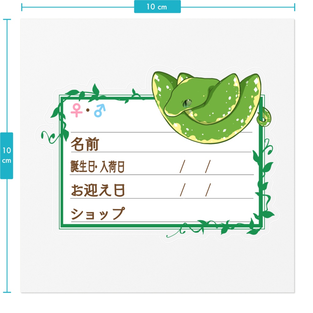 ใ๐ใๅๅในใใใซใผใๆ 11็จฎ้ก ใฐใชใณใใค(ใใขใฏ)