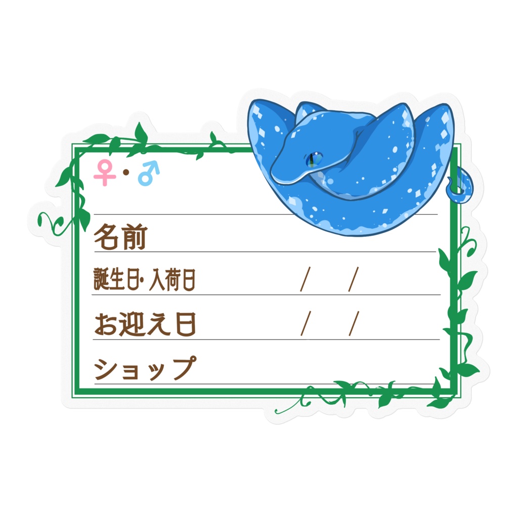 【🐍お名前ステッカー】枠11種類 グリンパイ(ブルーコンドロ)