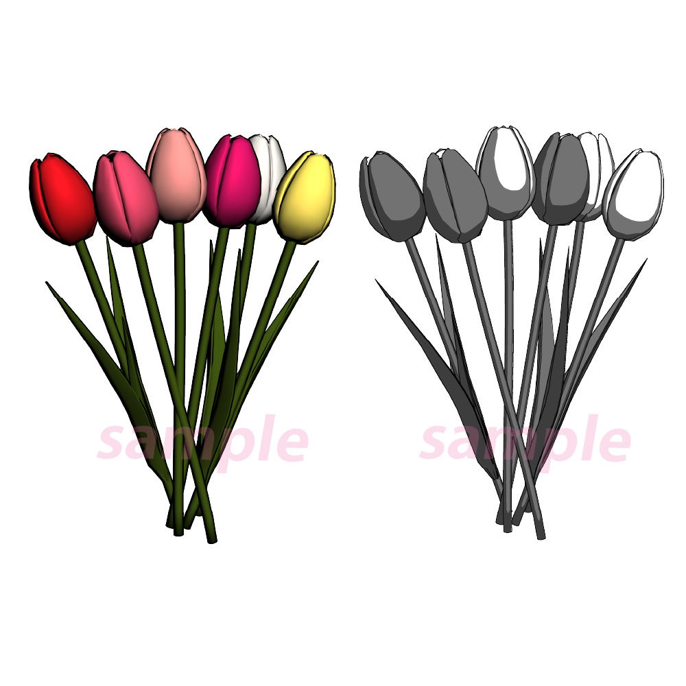 チューリップセット