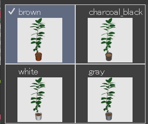 ゴムの木/フィカス/観葉植物