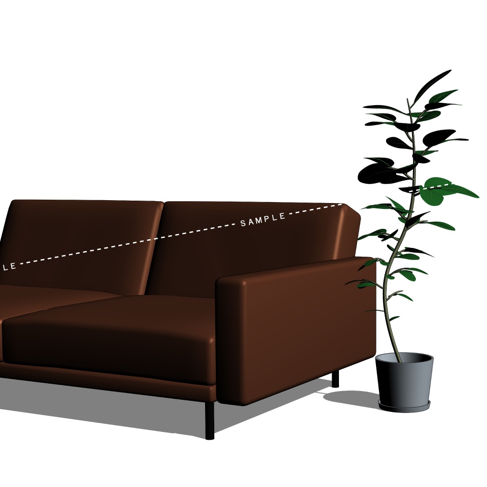 ゴムの木/フィカス/観葉植物