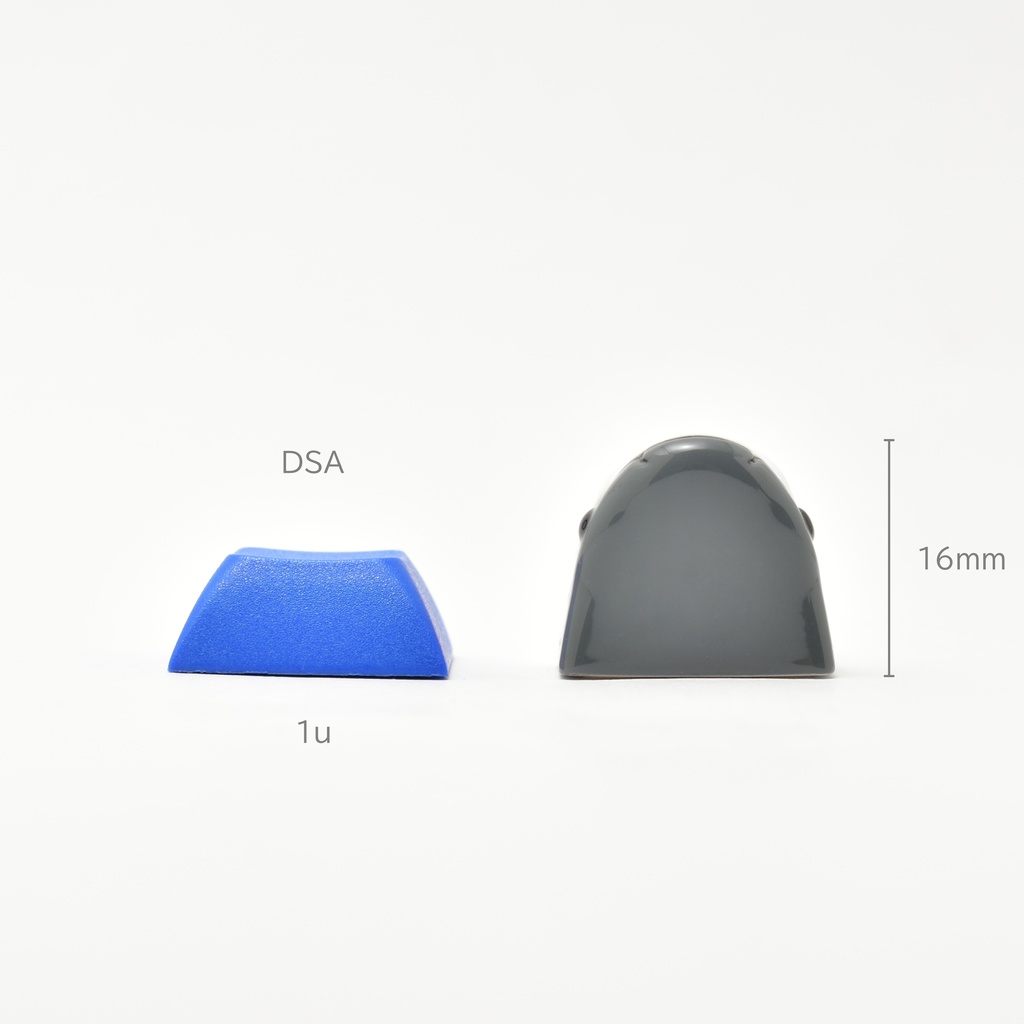 シャーキーキャップ