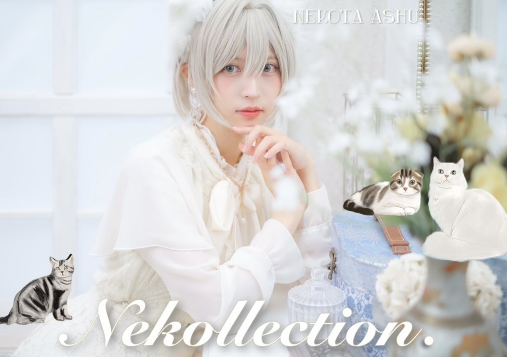 Necollection 🐈🐾