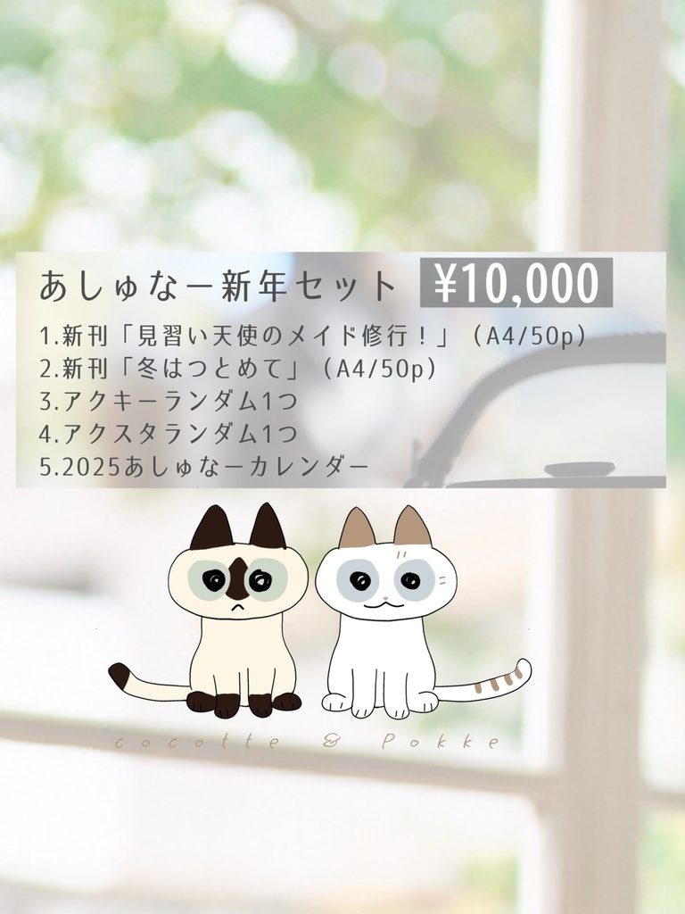 C105新年セット