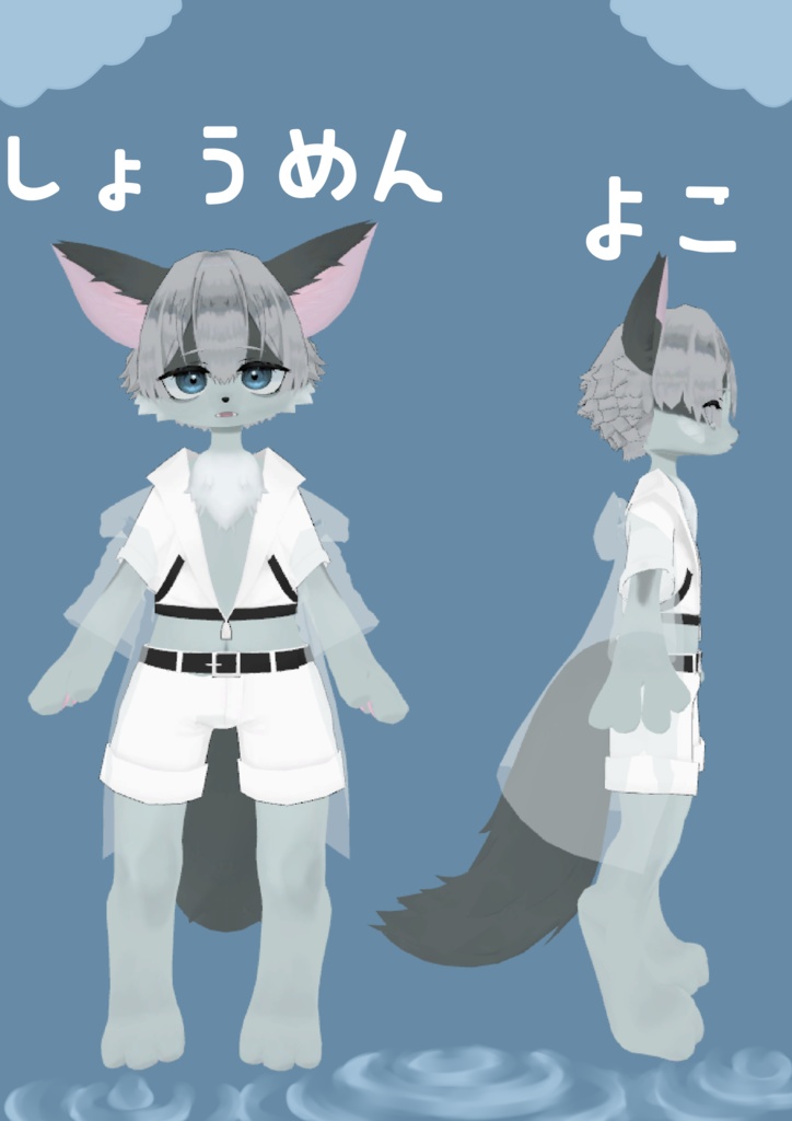 雨猫(うびょう)3Dモデル