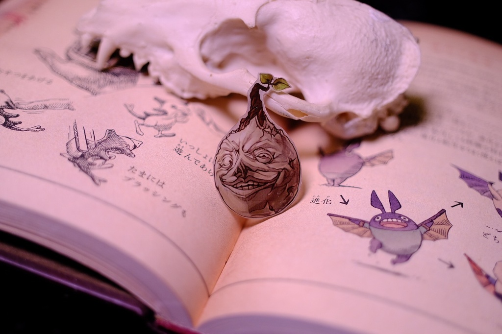 【99%】シノアリス ピノキオイメージ リボンバレッタ