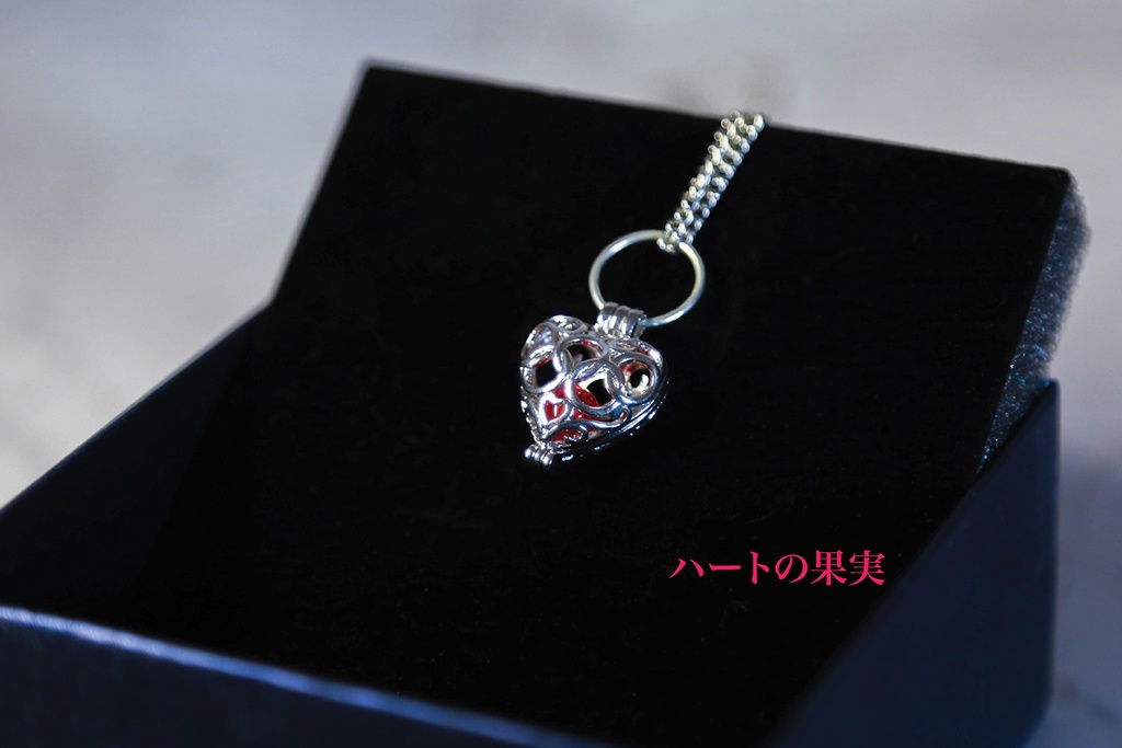 【アキヤ】香水入れ銀ネックレス2