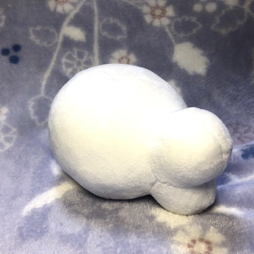 ぼうぬいぐるみ