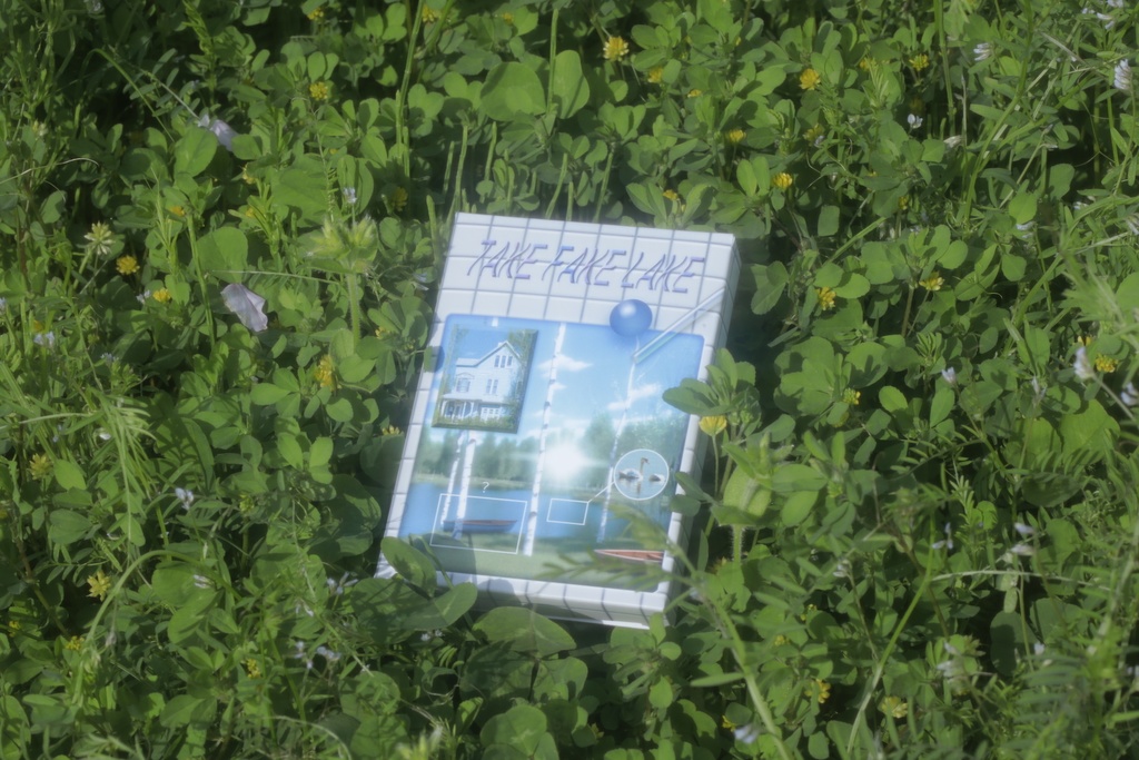 【TAKE FAKE LAKE】 Download code + Artwork cards (with 2 Bonus Tracks)