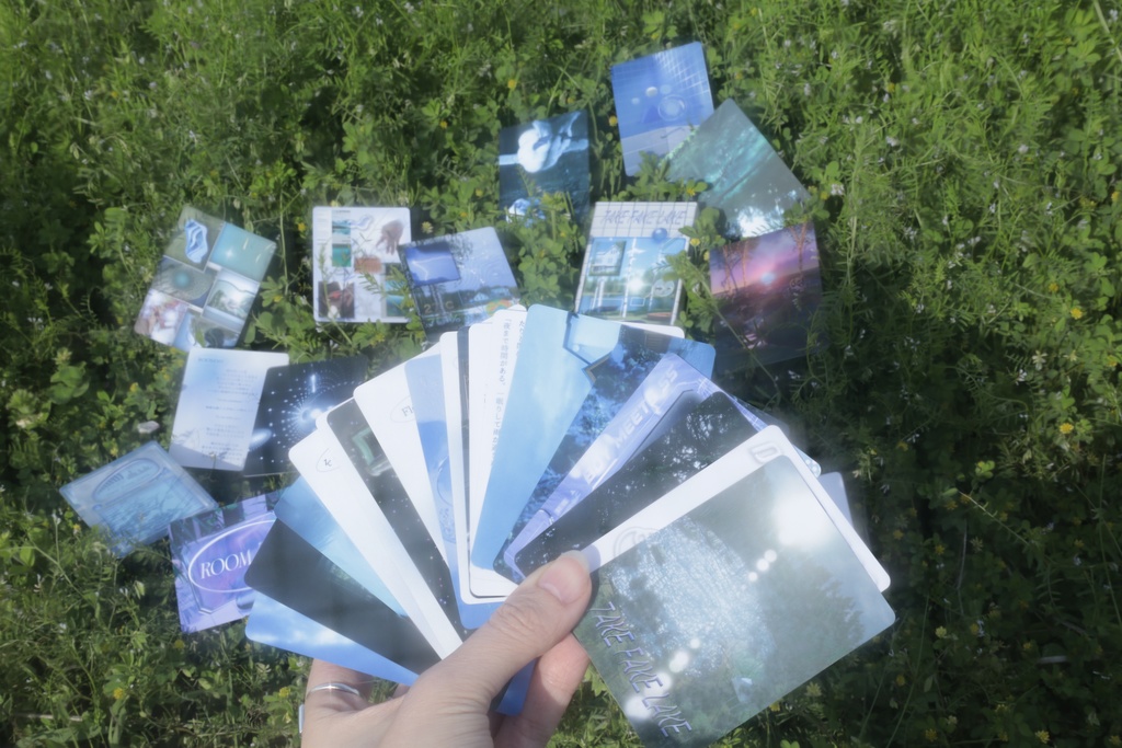 【TAKE FAKE LAKE】 Download code + Artwork cards (with 2 Bonus Tracks)