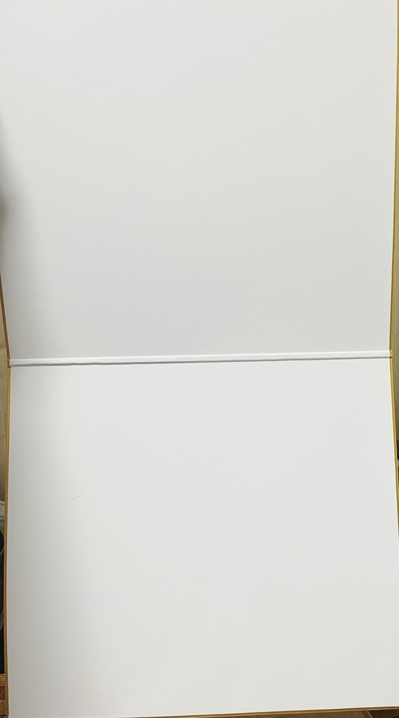 ブルーアーカイブ メイドアスナ 見開き色紙 再販