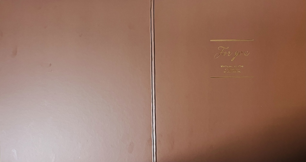 ブルーアーカイブ エプロンで誘惑するシロコ 見開き大色紙 制作途中 再販