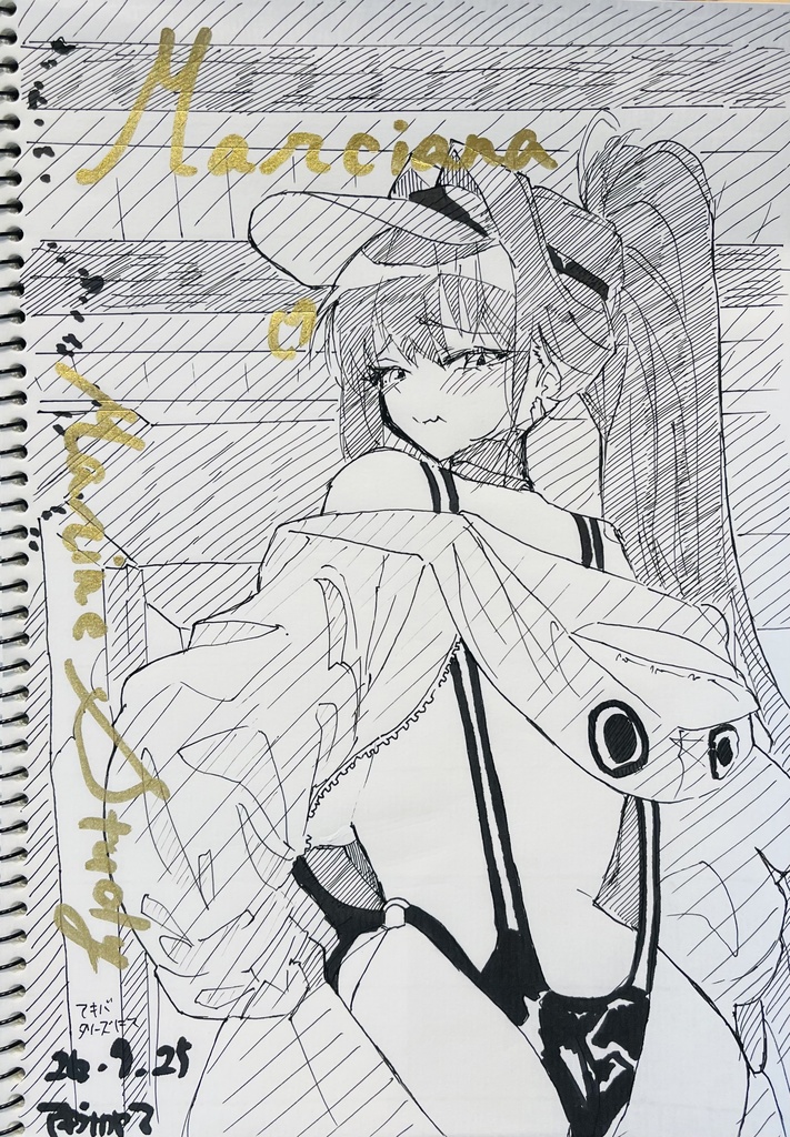 落書きスケッチブック黒　B5 新幹線シール