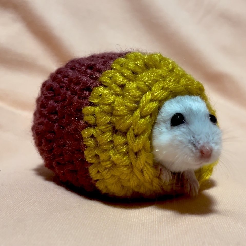 ハムスターのやき芋ハウス