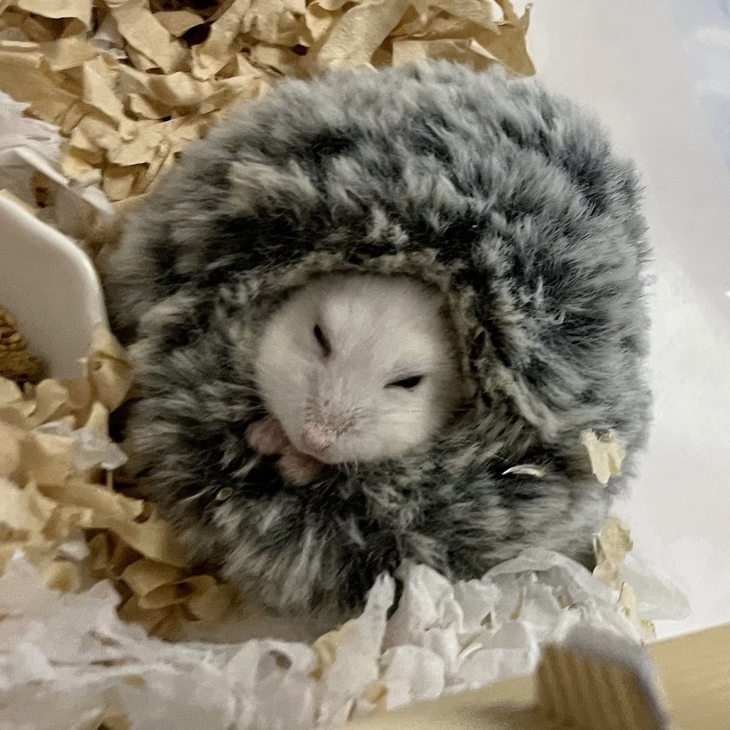 ハムスターがより可愛くなる ふわふわファーハウス