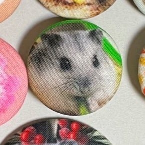 うちの子、くるみボタンーマグネット