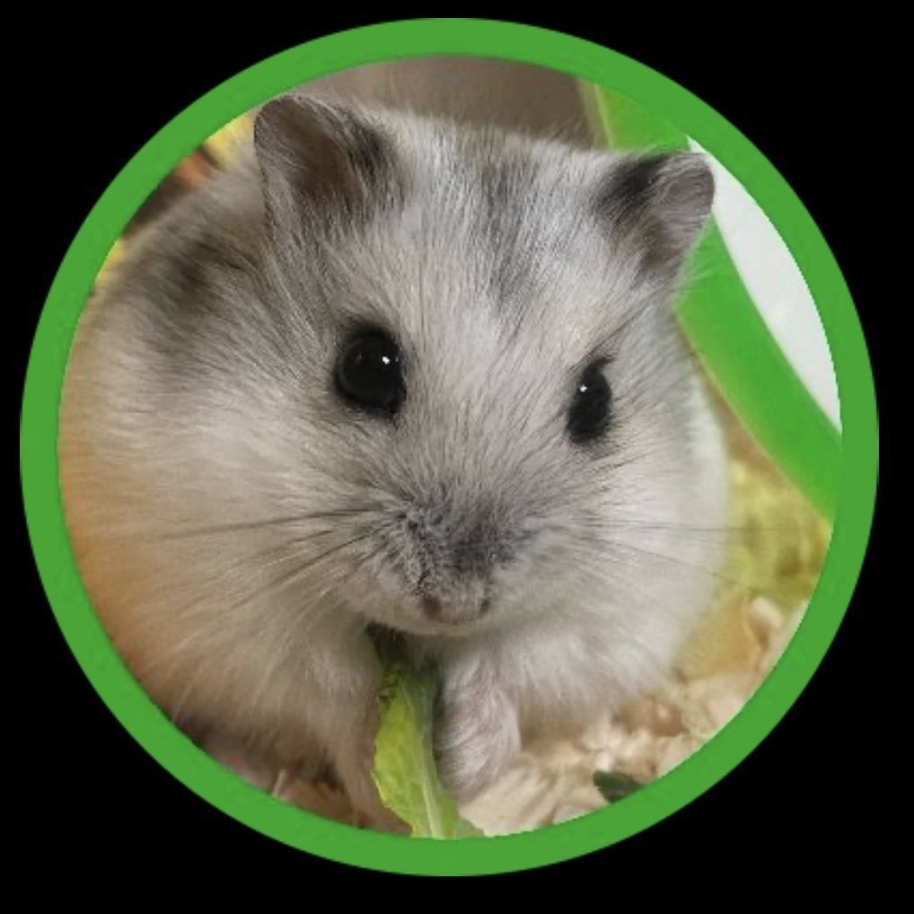 うちの子 布バッジ(5.7㎝)オーダーメイド(30日ほどお時間いただきます)