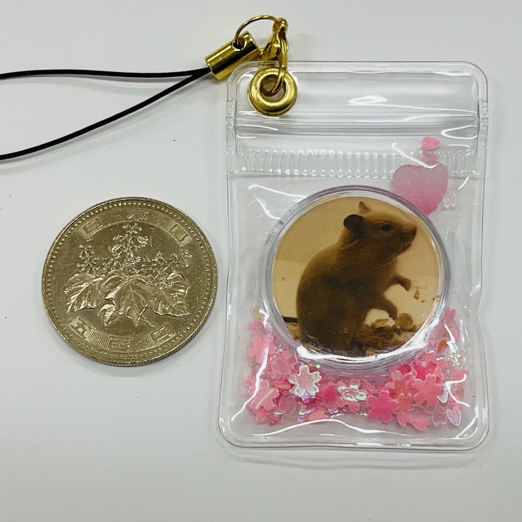 【桜】シャカシャカキーホルダー ミニ【うちの子オーダーメイド】