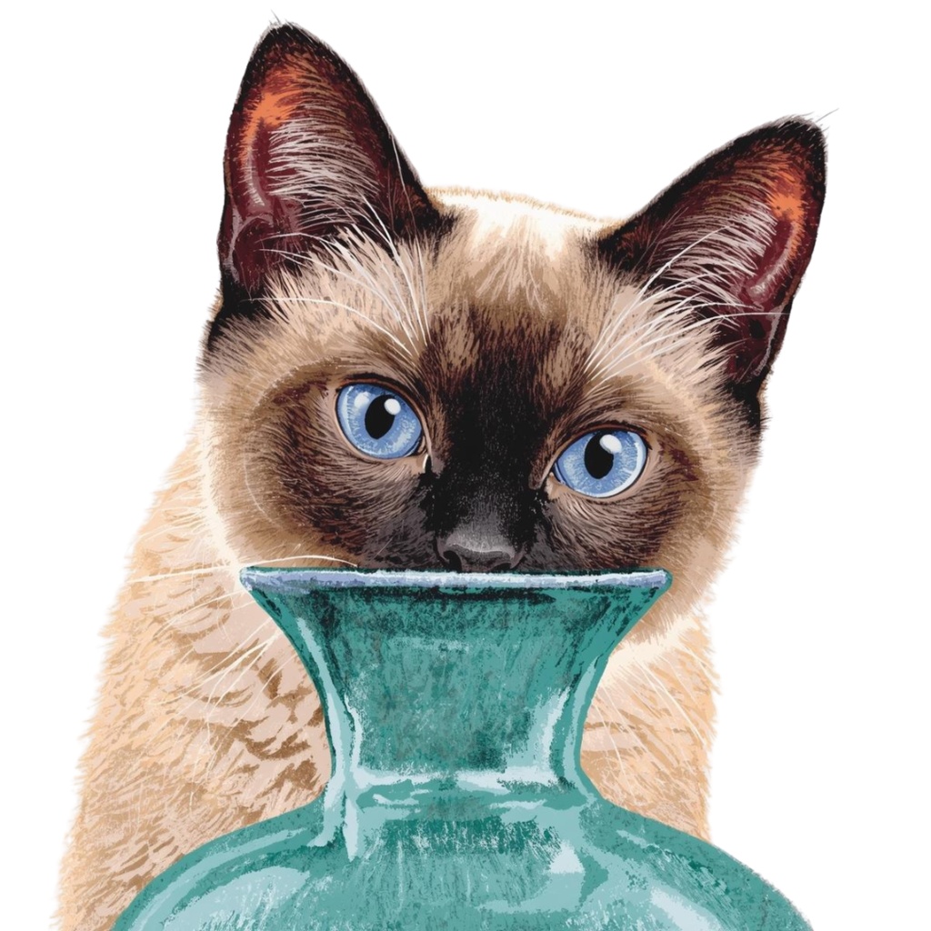 【Catシリーズ】色鉛筆画風-猫と花の癒しクリップアート20点セット│PNG背景透過