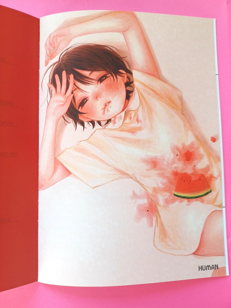 イラスト集【非実在少年①~domestic animal~】