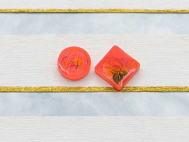 レジン・スタッドピアス「戊」