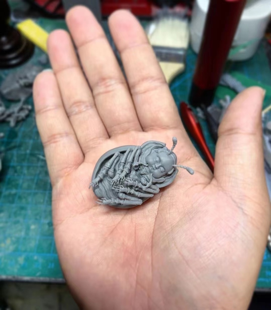 人面シリーズ——Ladybug(kit)