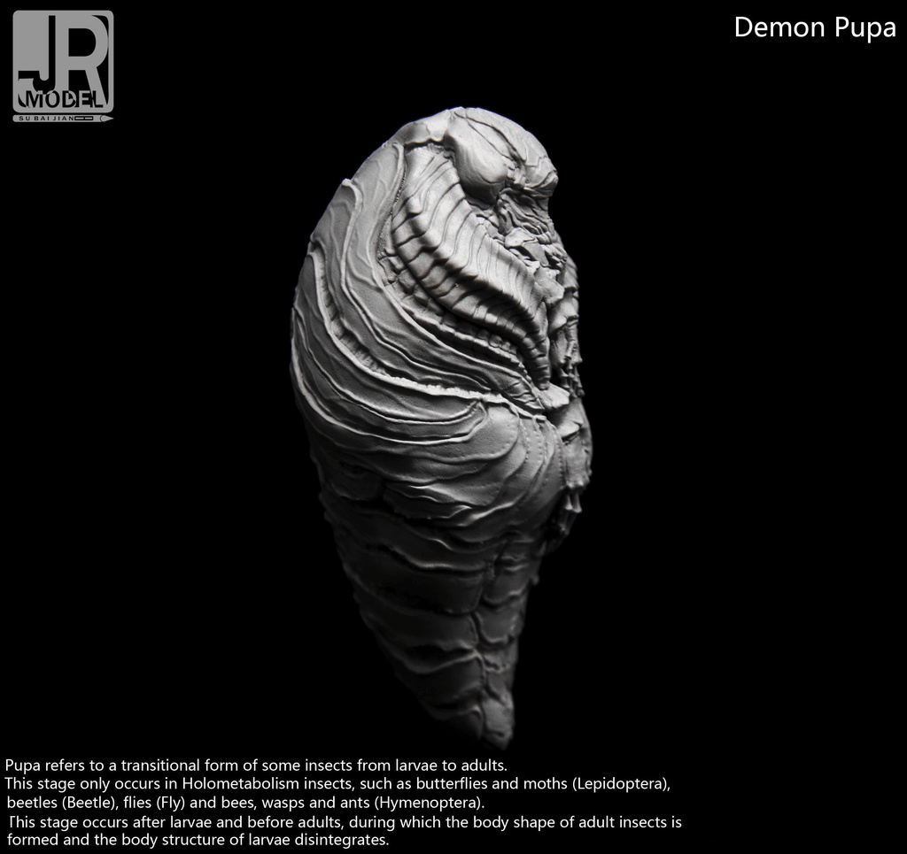 悪魔の蛹 (kit & 塗装済完成品)