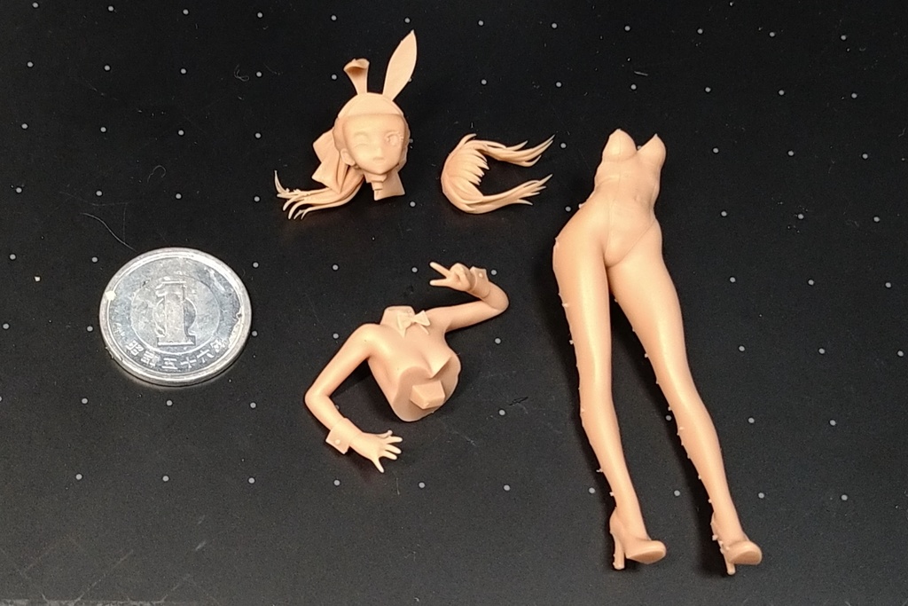 1/20 バニーさん改 Ver.2.11