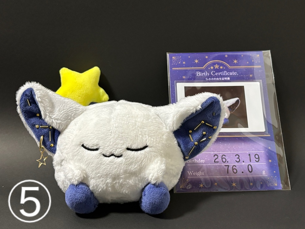 星の妖精 「らぷぷ」