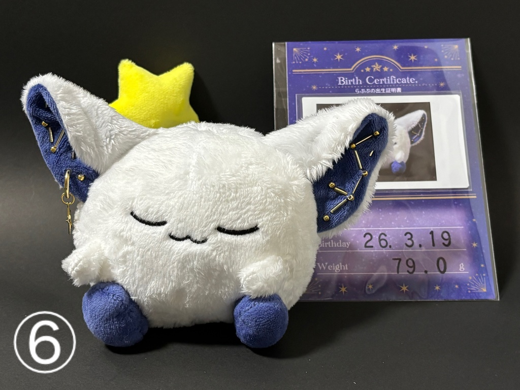 星の妖精 「らぷぷ」