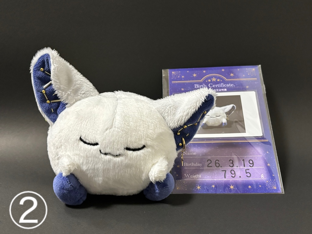 星の妖精 「らぷぷ」