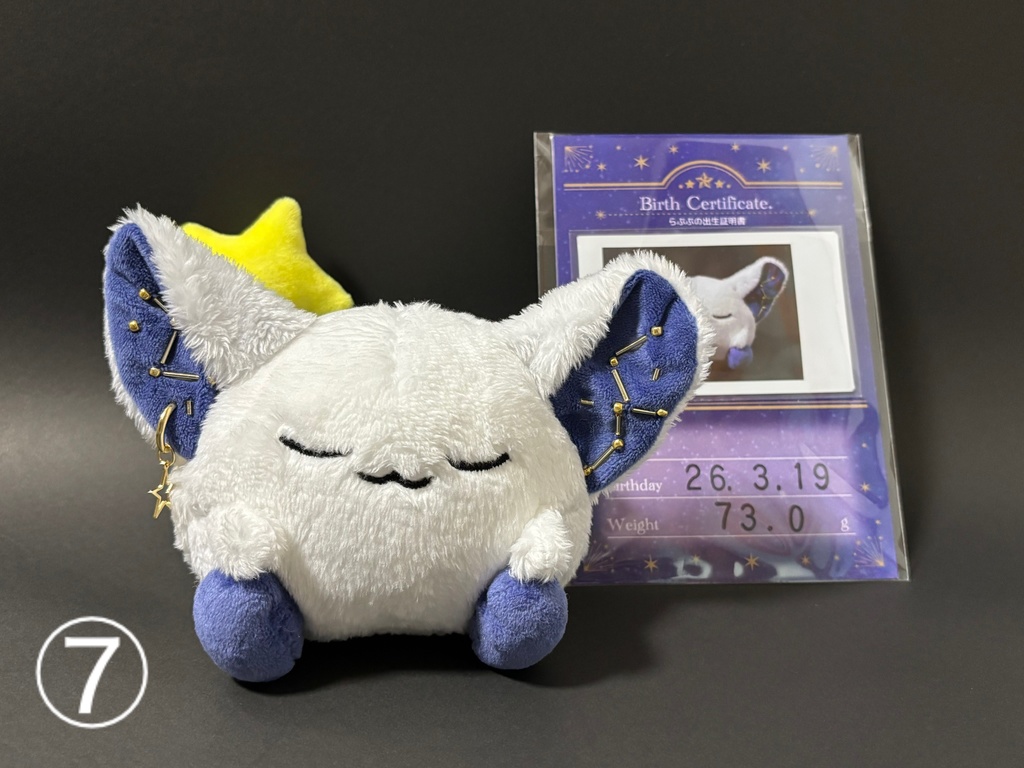 星の妖精 「らぷぷ」