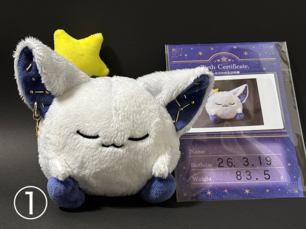 星の妖精 「らぷぷ」