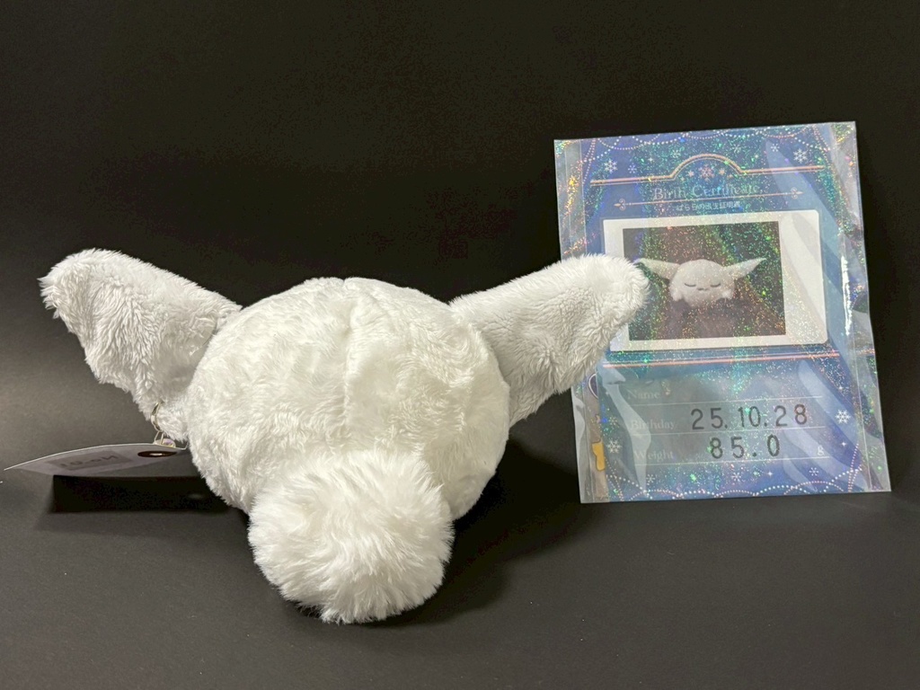 雪の妖精「ぱらら」