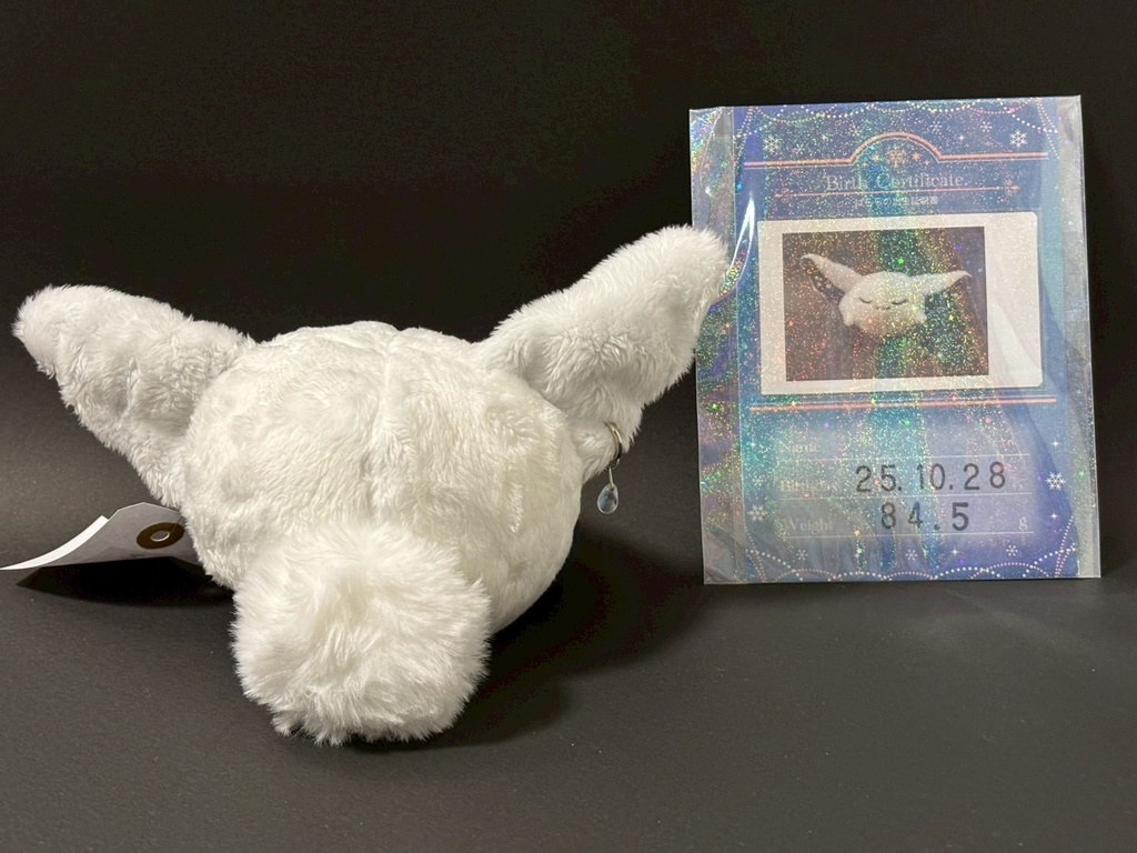 雪の妖精「ぱらら」