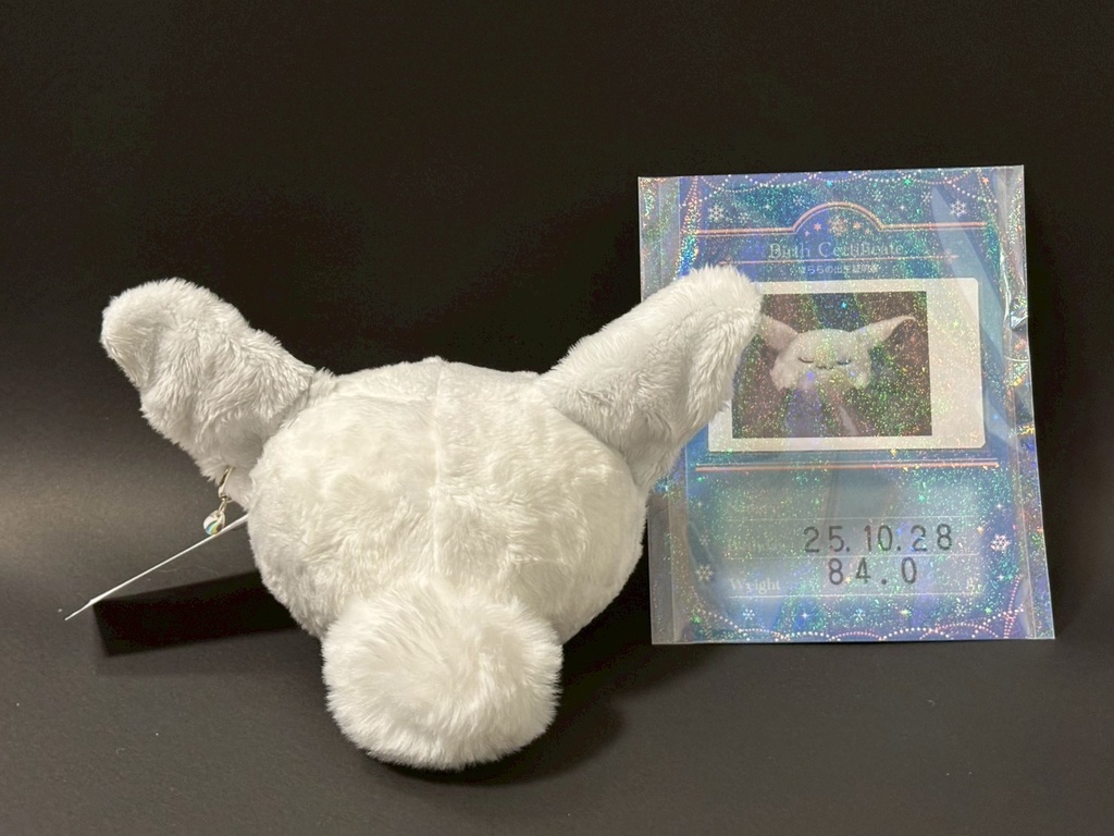 雪の妖精「ぱらら」