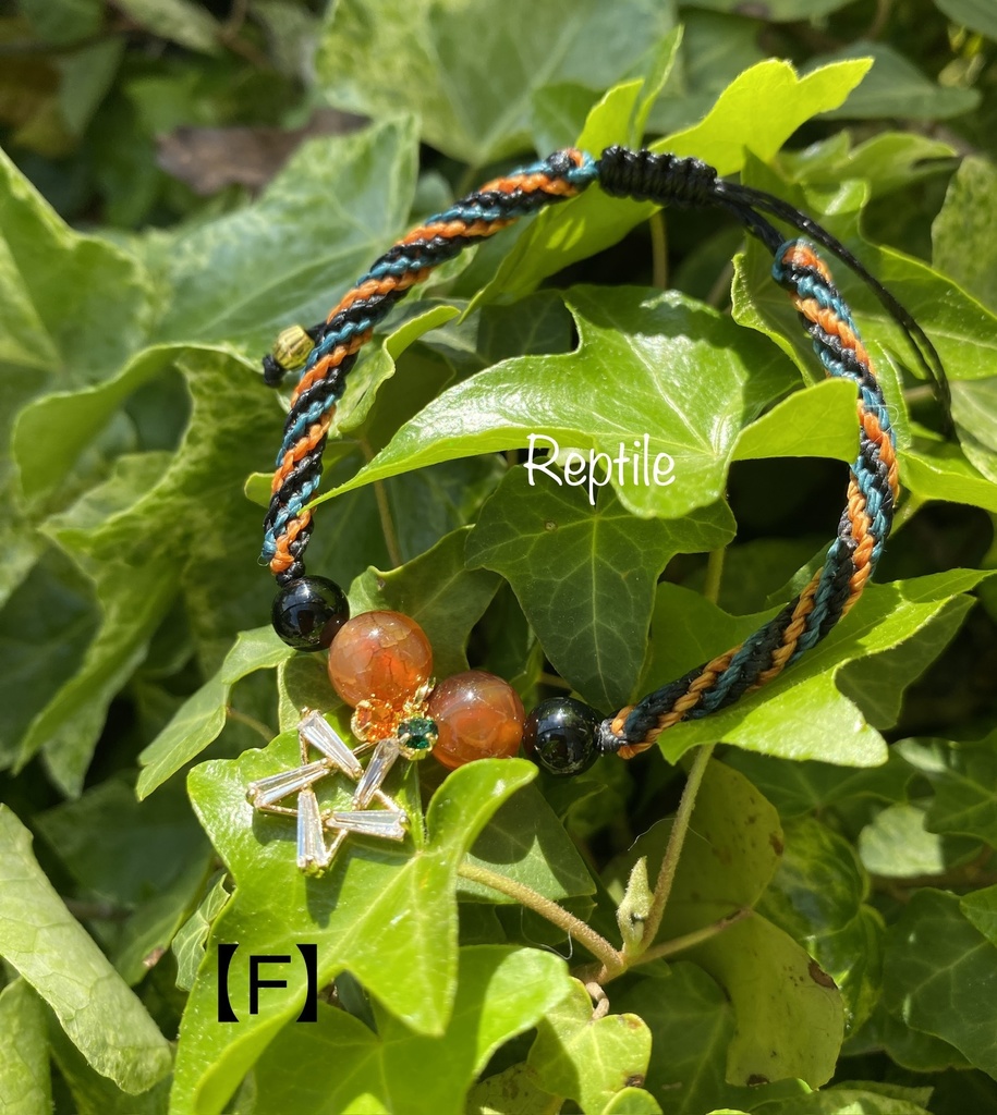 ð¥ã€ã¡ãŒãžãã¬ã¹ã¬ããâ¡