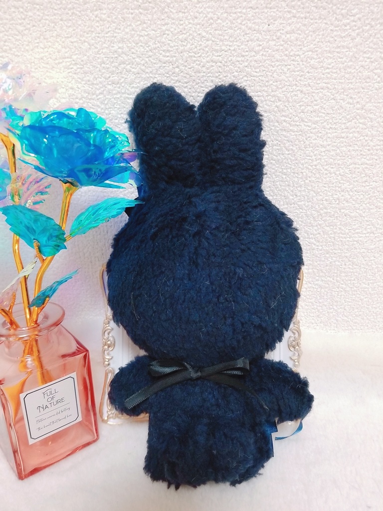 静寂の黒雪うさぎ🐰❄ Noir Neige💙❄