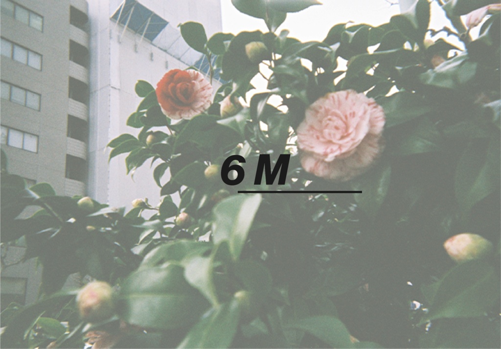 もくとりオリジナル写真集 / 6M