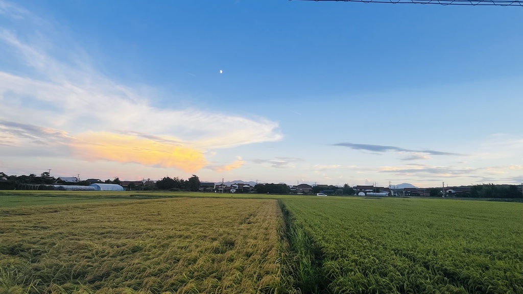 Spring 2026 ver.2 By sears